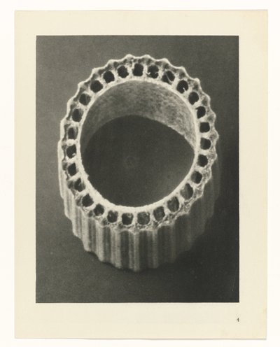 植物研究 アートの原型：植物の写真イメージ（シリーズタイトル） 作： Karl Blossfeldt