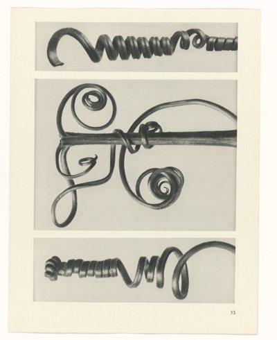 研究を計画する Archetypes of Art (シリーズタイトル) 作： Karl Blossfeldt