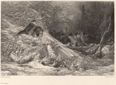 霜からの避難所 作： Karl Bodmer