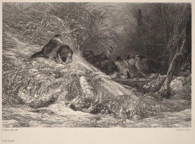  作： Karl Bodmer