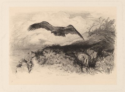 フライングイーグル 作： Karl Bodmer