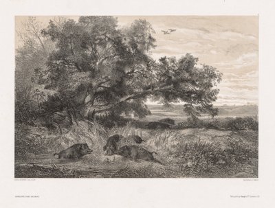 自然と動物と風景：池のイノシシc。 1850 作： Karl Bodmer