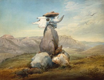 アサシンボインの薬のサイン 作： Karl Bodmer