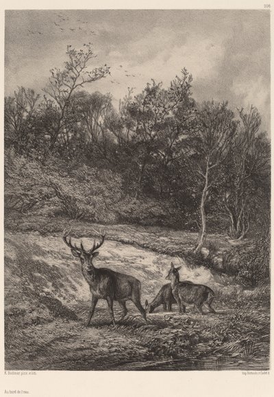 水の端で。 作： Karl Bodmer