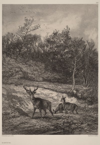  作： Karl Bodmer