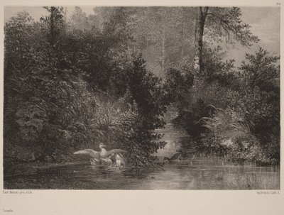  作： Karl Bodmer