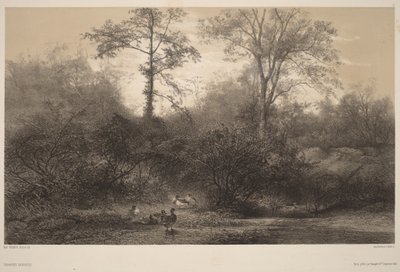 作： Karl Bodmer