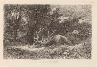 ディア ア ラ レポゼ 作： Karl Bodmer