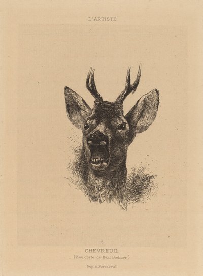 鹿です。 作： Karl Bodmer