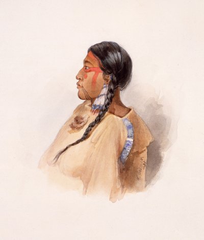  作： Karl Bodmer