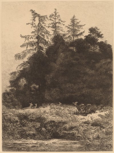 公園にいるファローディア 作： Karl Bodmer