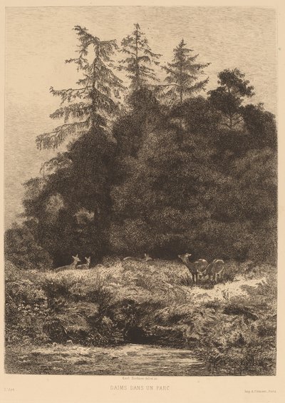 公園のダマジカ。 作： Karl Bodmer