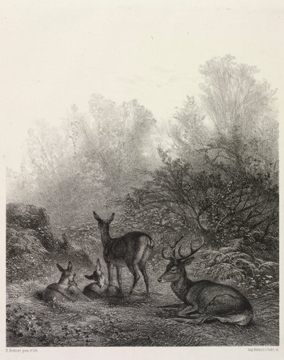 休息中の鹿。 作： Karl Bodmer
