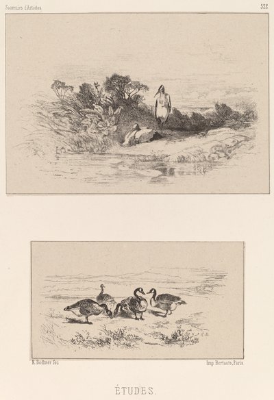 研究 作： Karl Bodmer