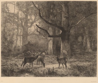 フォンテーヌブローの森 作： Karl Bodmer