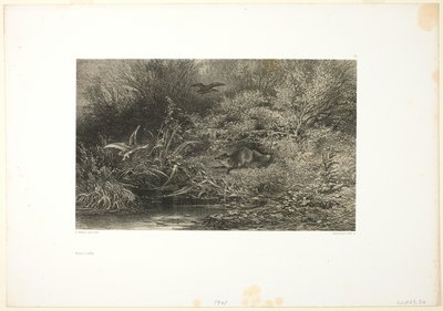 フォックス オン ザ プロール 作： Karl Bodmer