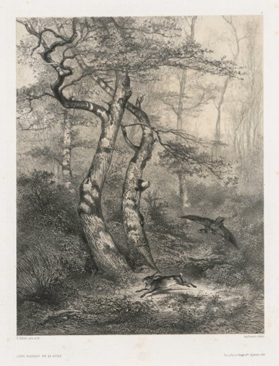 オオタカに追われるうさぎ 作： Karl Bodmer