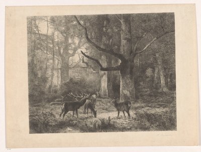 森の鹿 作： Karl Bodmer