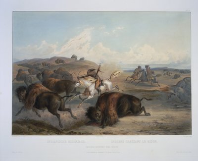 バイソンを狩るインディアン 作： Karl Bodmer