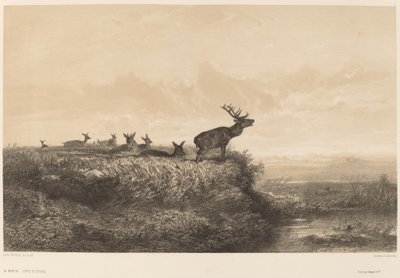 朝 作： Karl Bodmer
