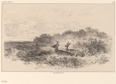 Le Repos. 作： Karl Bodmer