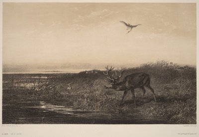  作： Karl Bodmer