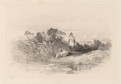 二匹のサギ 作： Karl Bodmer