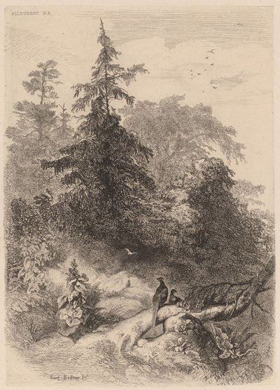 The Pheasants」です。 作： Karl Bodmer
