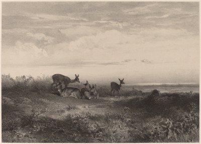 鹿 作： Karl Bodmer