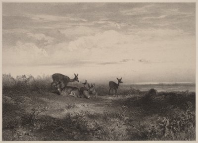  作： Karl Bodmer