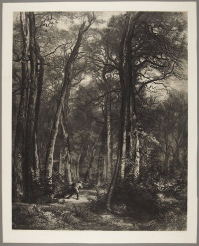  作： Karl Bodmer