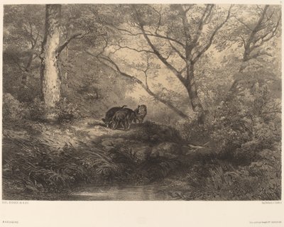 マルカシン。 作： Karl Bodmer