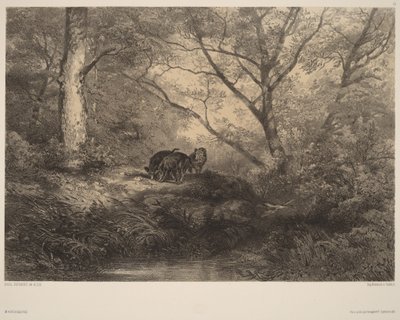  作： Karl Bodmer
