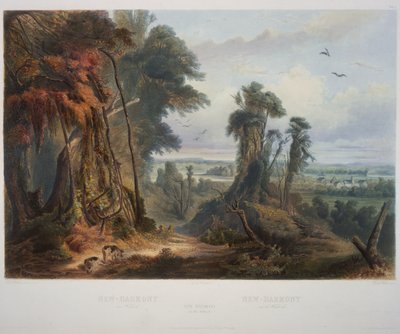 ウォバシュの新しい調和 作： Karl Bodmer