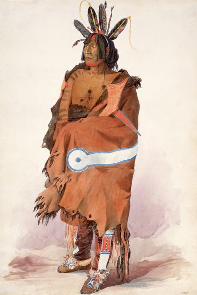  作： Karl Bodmer
