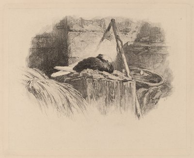 巣の上のハト 作： Karl Bodmer