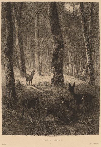 家に帰る 作： Karl Bodmer