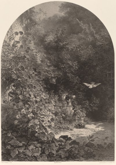 庭の一角 作： Karl Bodmer