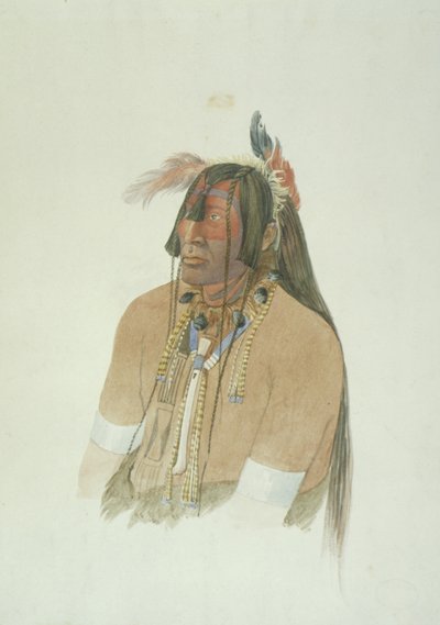 正体不明の男 作： Karl Bodmer
