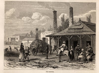 アルフレッド・ヴェルニーが1861年にモーリシャスに滞在した際に、カール・ジラルデ（1813-1871）が描いたモーリシャスのレンパート川にある砂糖工場の絵。エドゥアール・シャルトン編『Le tour du monde』に掲載されている図版 作： Karl Girardet