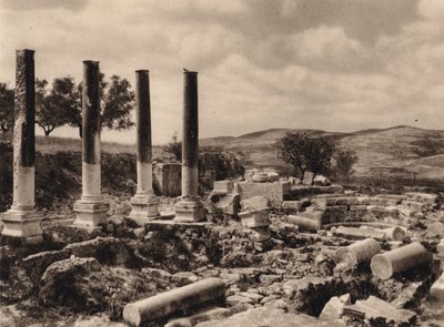サマリア、ヘロデ王の宮殿の遺跡 (白黒写真) 作： Karl Grober