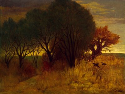 荒野の風景 作： Karl Haider