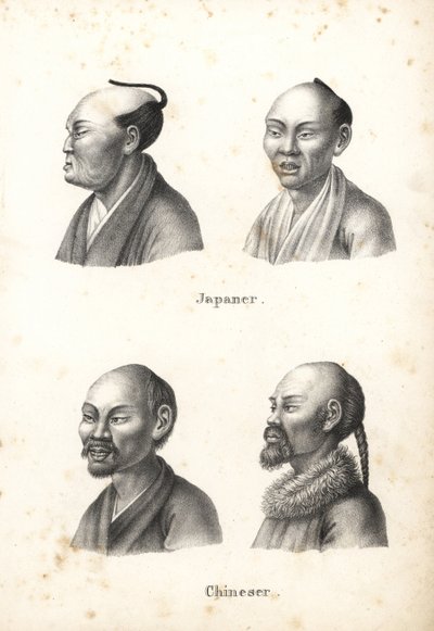 ちょんまげの日本人男性の胸像と、ひげをたくわえた中国人の男性の胸像。 ハインリヒ・ルドルフ・シンツの「人間と動物の図解された自然史」のカール・ヨーゼフ・ブロトマンによるリトグラフ 作： Karl Joseph Brodtmann