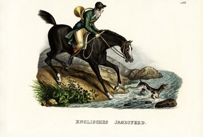 イギリスのハンターホース、1824年 作： Karl Joseph Brodtmann
