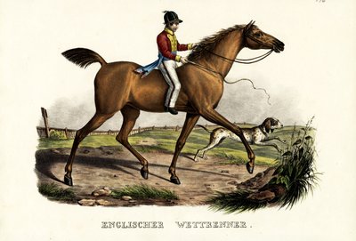 イギリスのレーサー馬、1824年 作： Karl Joseph Brodtmann