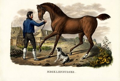 メクレンブルガー馬、1824年 作： Karl Joseph Brodtmann