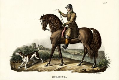 スペインのハンターホース、1824年 作： Karl Joseph Brodtmann