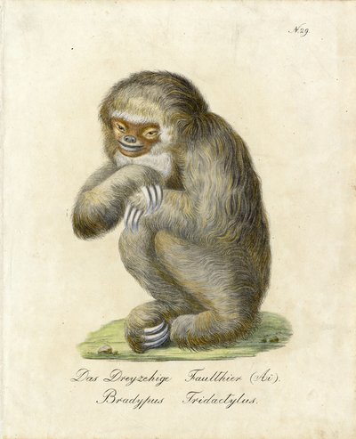  作： Karl Joseph Brodtmann