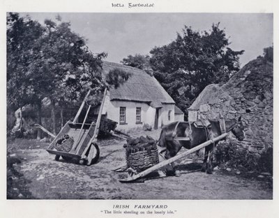 アイリッシュ・ファームヤード（モノクロ写真 作： Karl Karlovich Piratsky