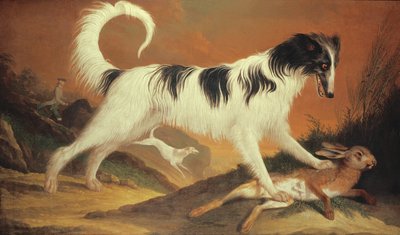 犬とうさぎ 作： Karl Kaspar Pitz